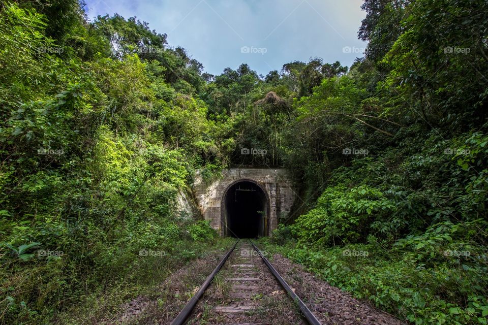 Tunnel in the nature