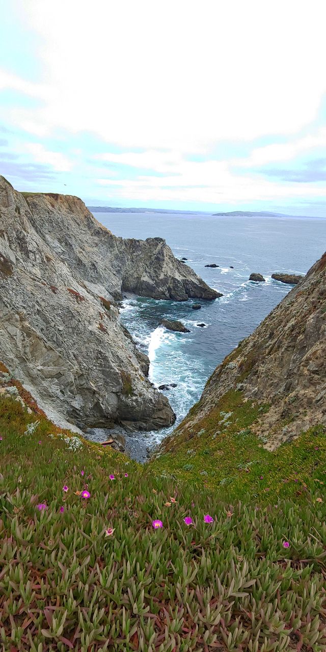 God's Amazing Creation. A Trip to Point Reyes California. Absolutely Serene Tranquils Earth Beauty. One of Best Hiking Trail Spots in Northern California.