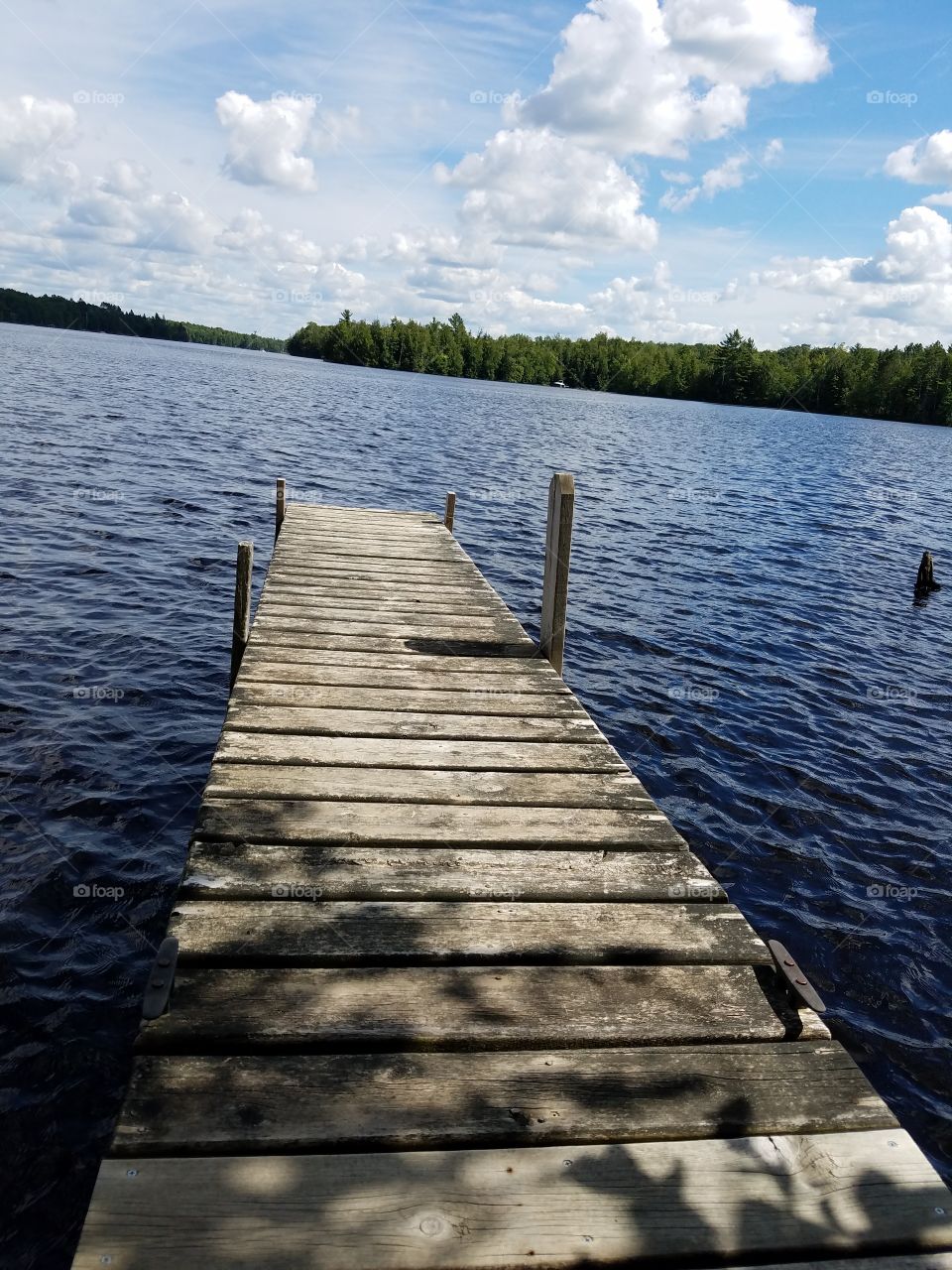 Scenic view of pier on lake