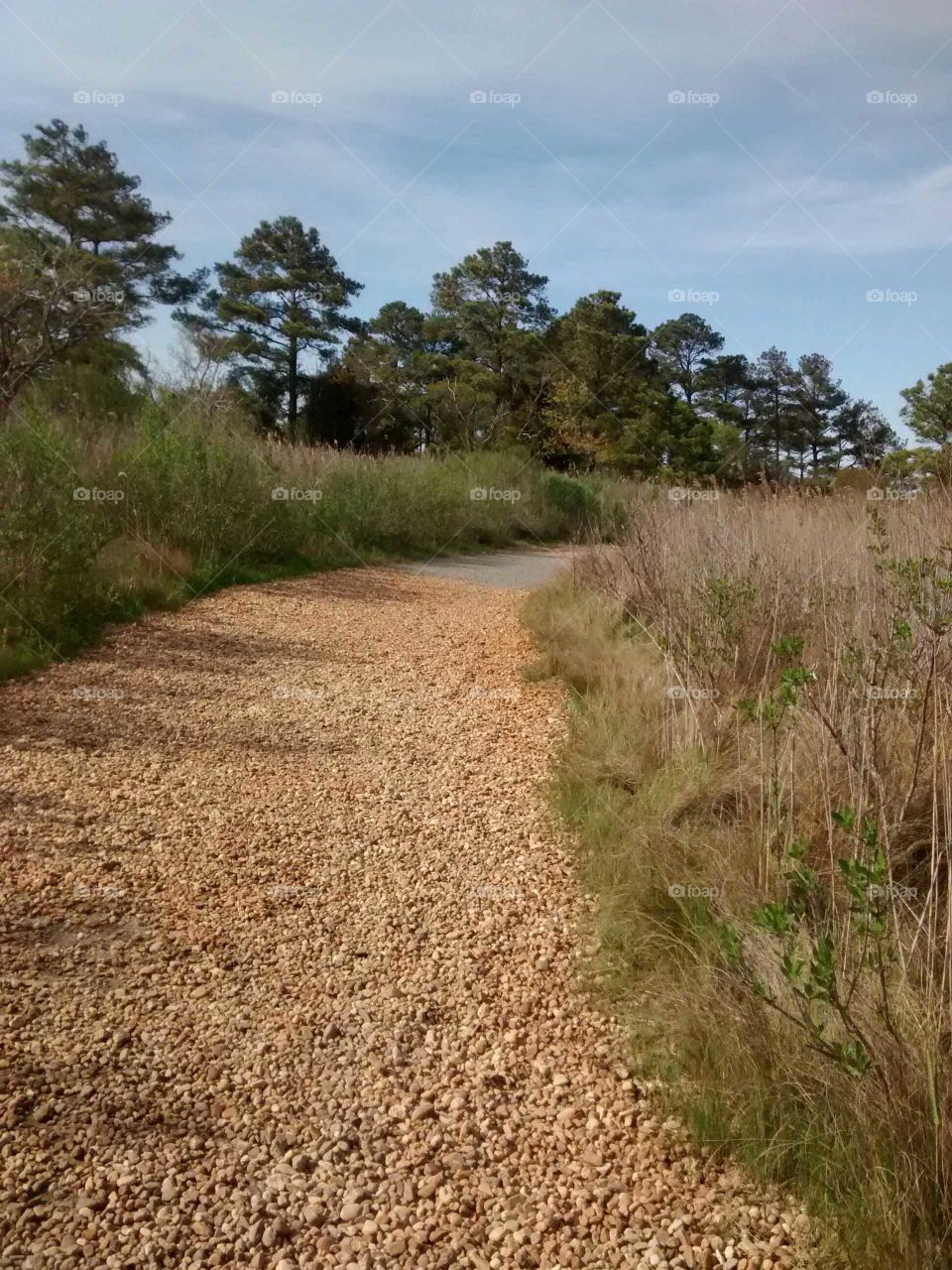 Pebble path