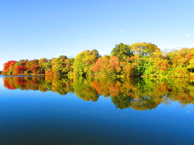 reflections