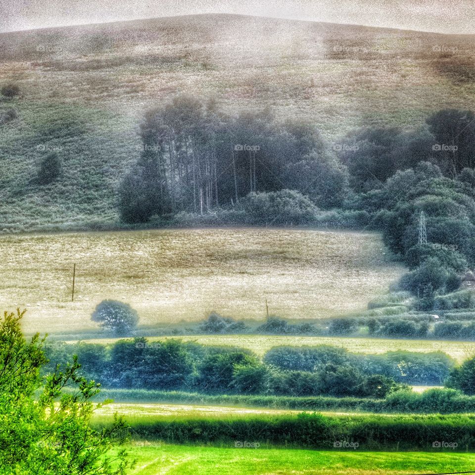 Landscape. Rural landscape 