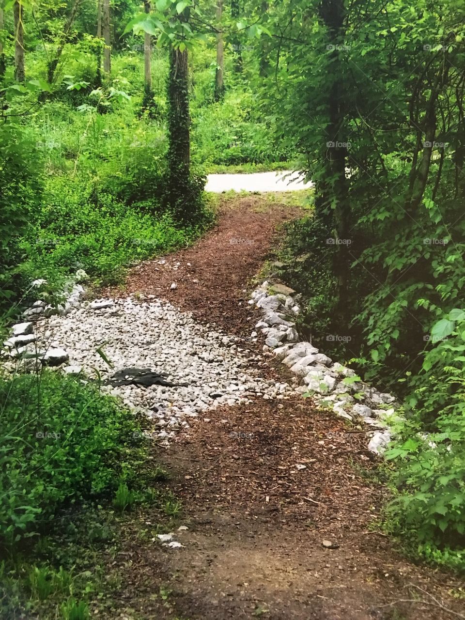 A rock strewn path