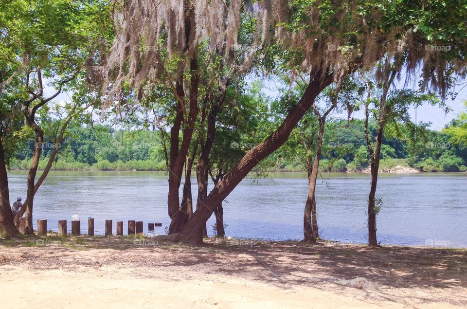 River bed view 