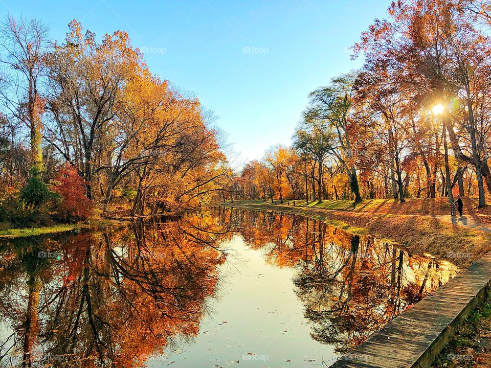 The Autumn Season - Autumn, Autumn Colors, reflection, tranquil, fall season, idyllic, autumn leaves, beauty in nature, trees, lake, orange, nature, autumnal, scenic, background 