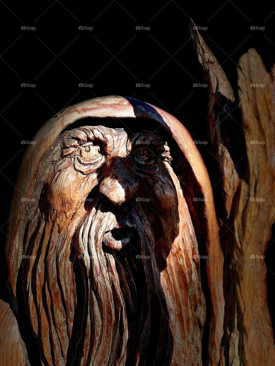 Wood Carving 