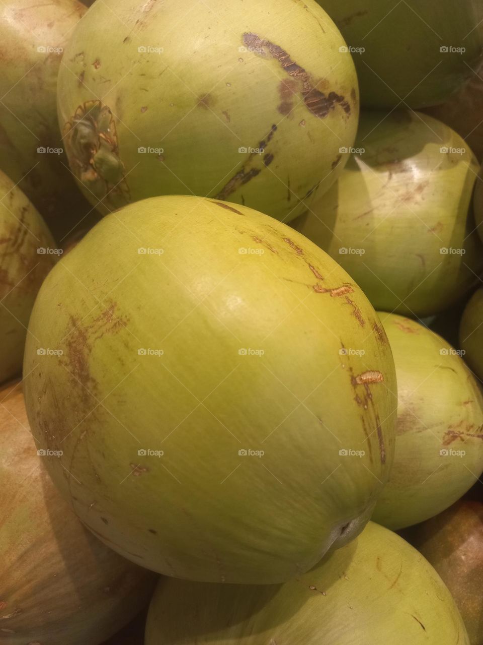 Coco verde é ótima fonte de potássio  nutriente responsável  pela saúde cardiovascular,  tem magnésio, que ajuda a melhorar o metabolismo, fortalece os ossos, evita cãibras e tem ação  anti-inflamatoria