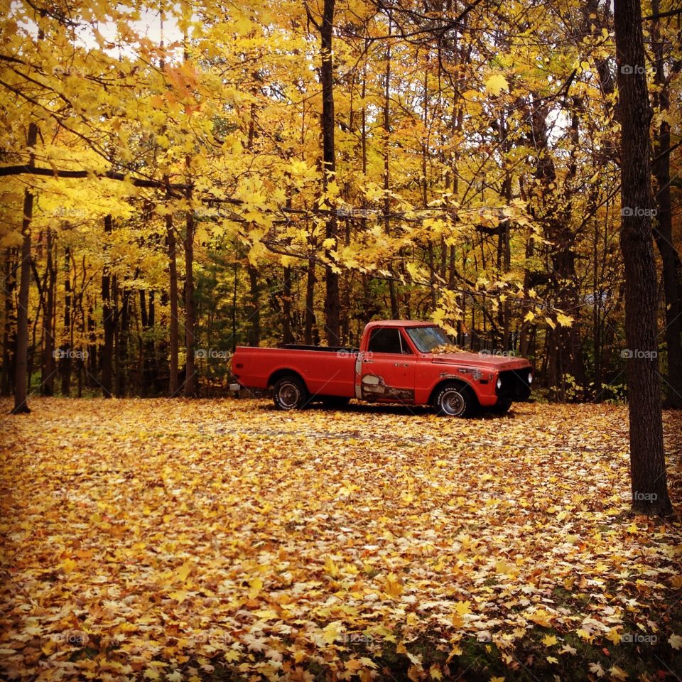 Old Pickup Truck and Falling Leaves