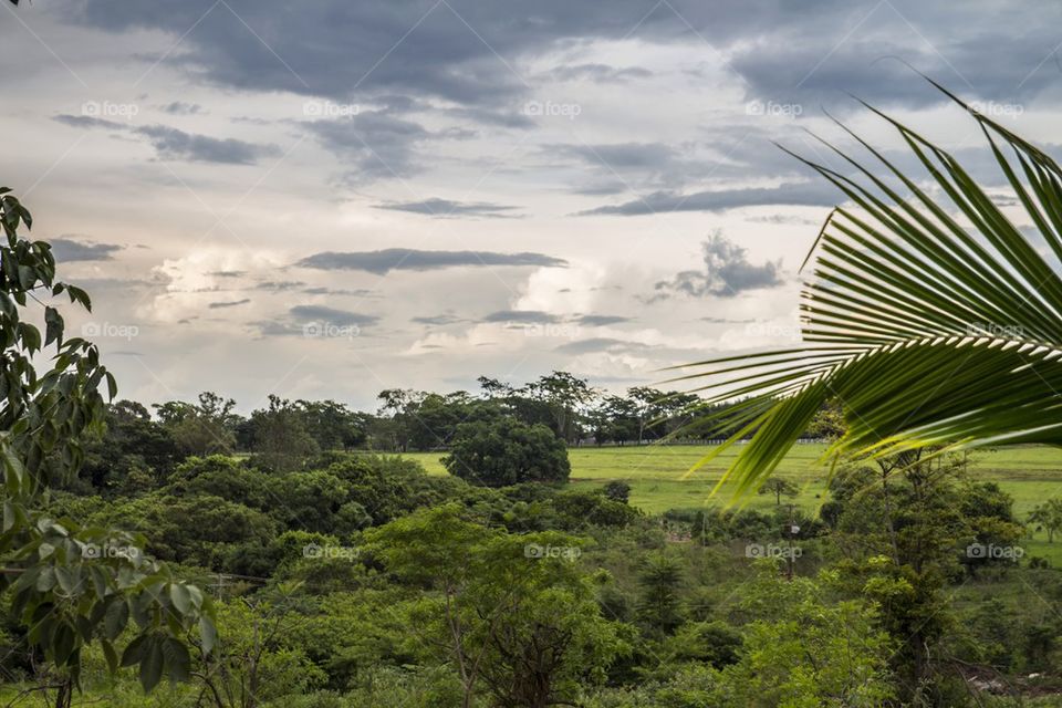 Brazilian landscape