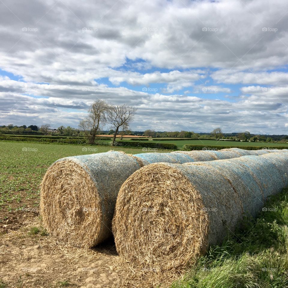 Hay bales in a field in the English countryside 