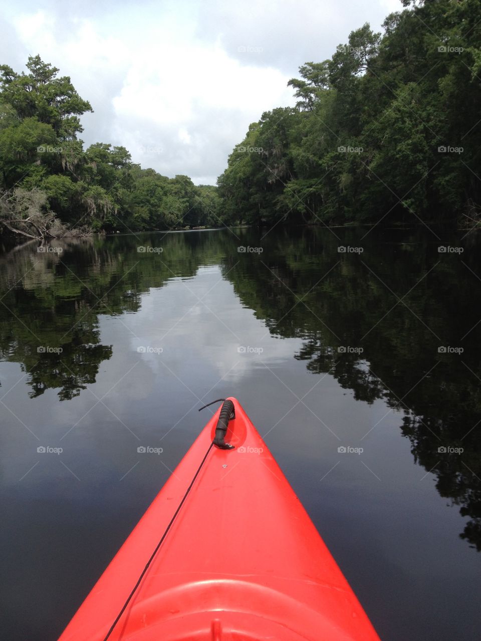 Canoeing the Santa Fe river 