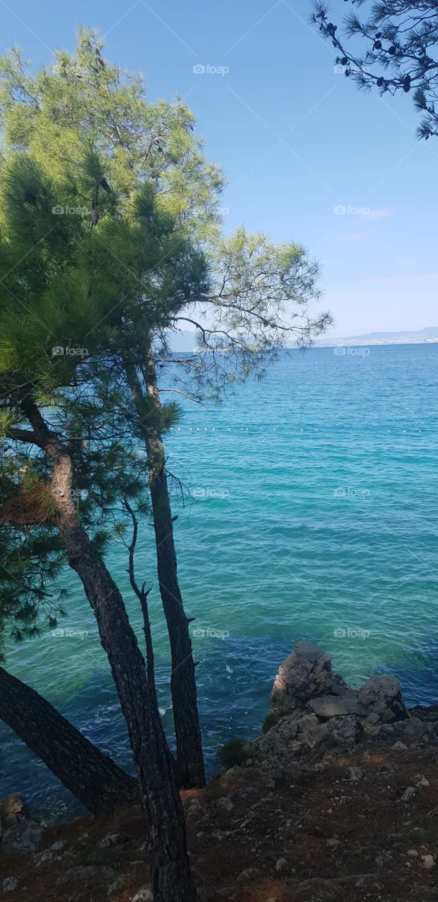 sea