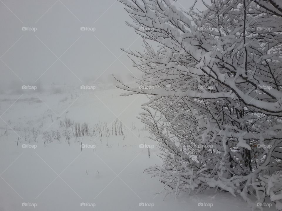 snow time, winter sports, snowy mountain, cold weather, winter landscape