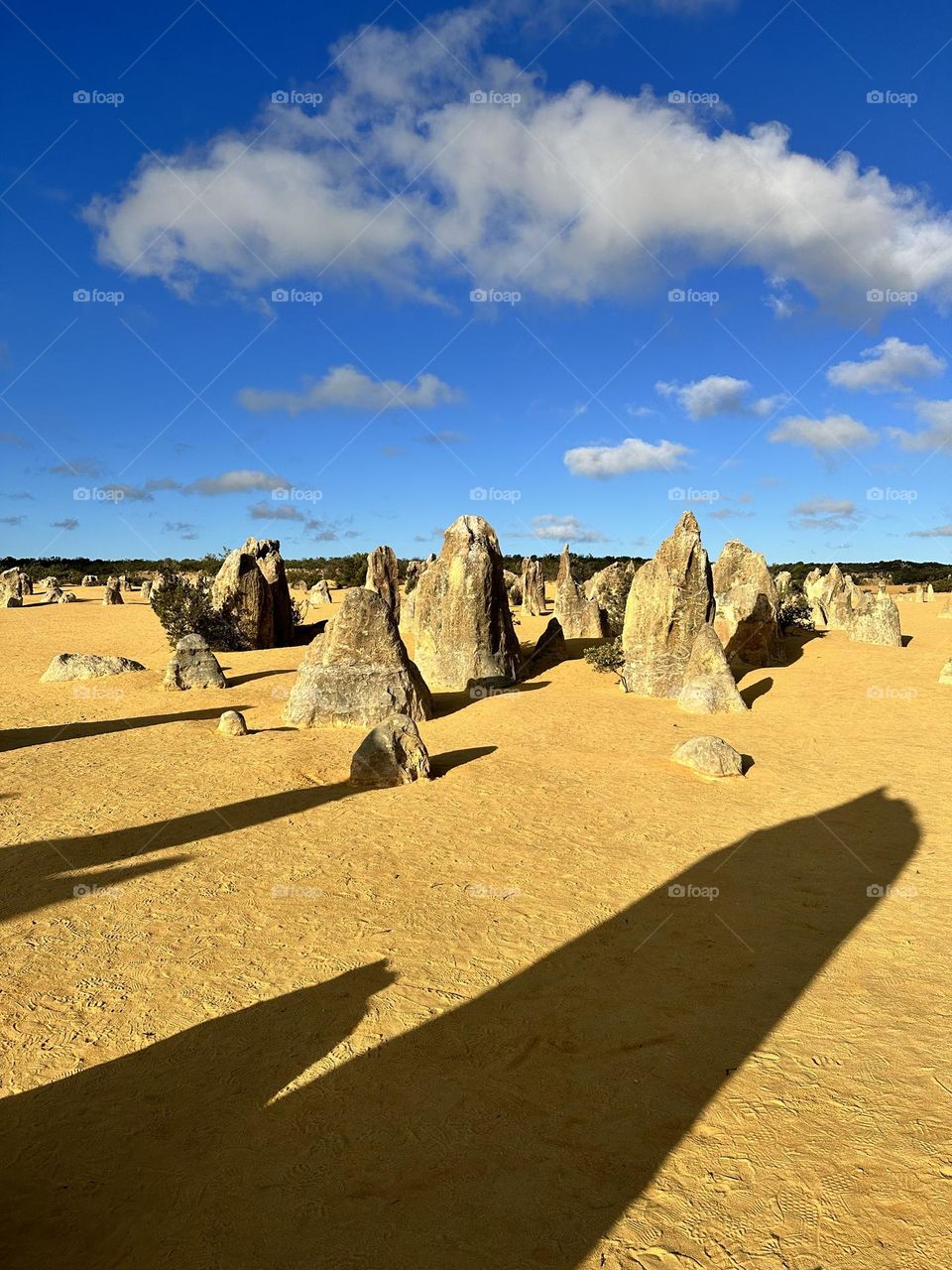 The Pinnacles of Western Australia