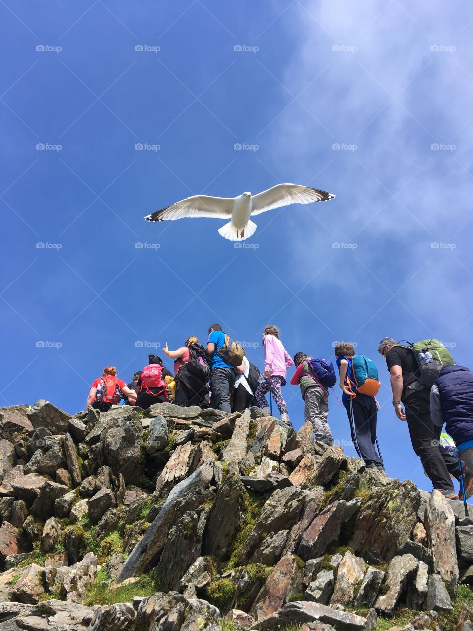 Queuing for the top of the mountain 