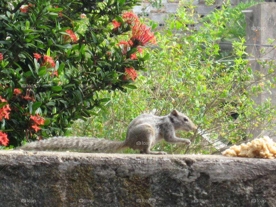 The art of composition