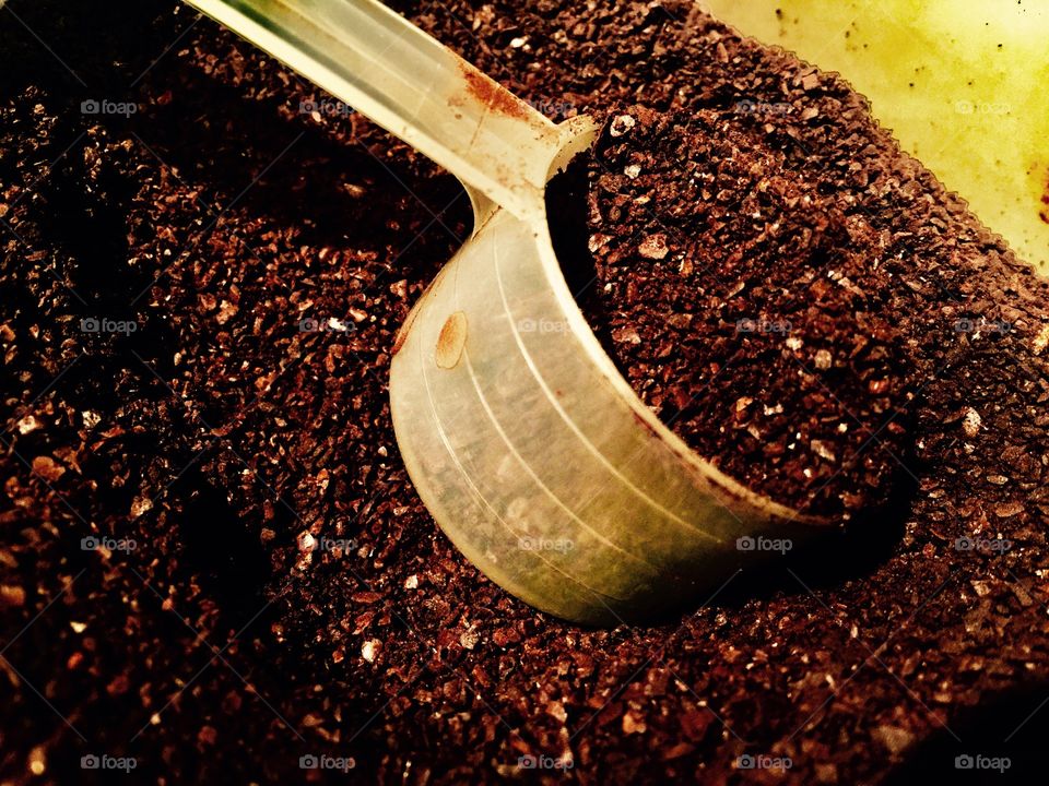 Coffee grounds close up