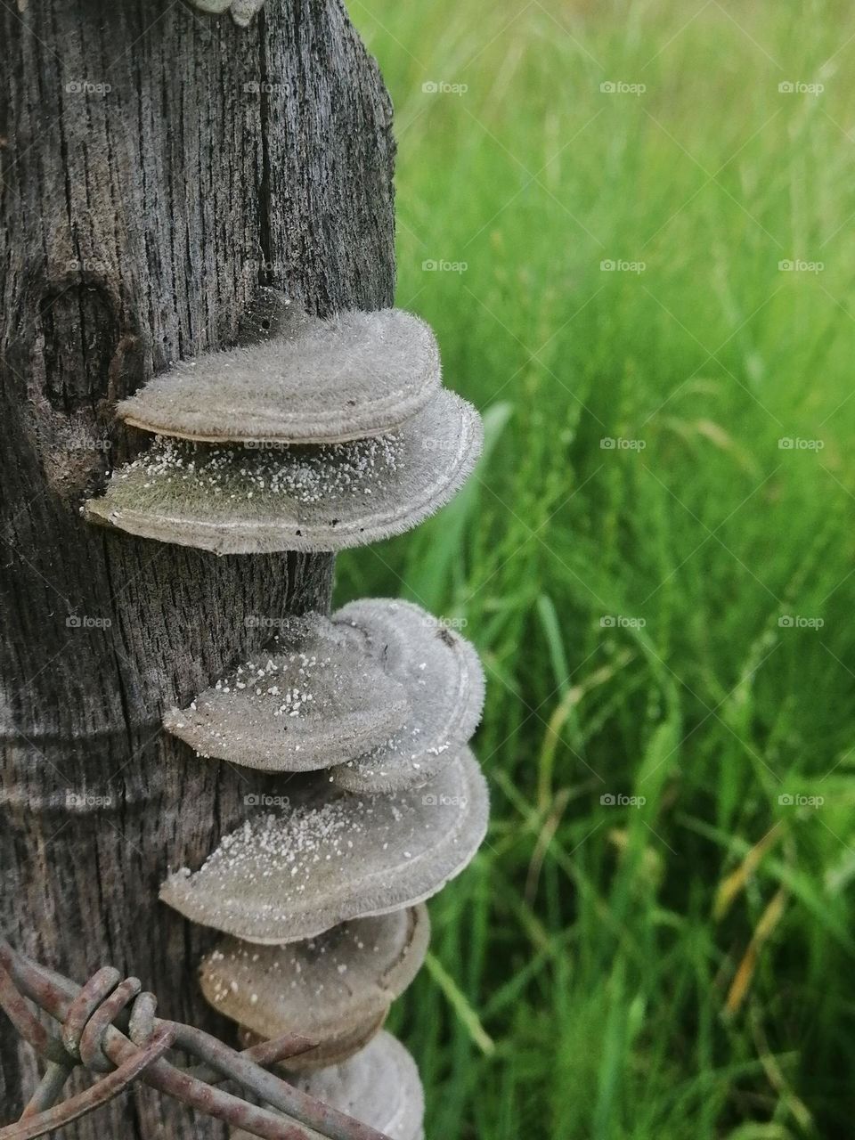 Nature evolution in summer!