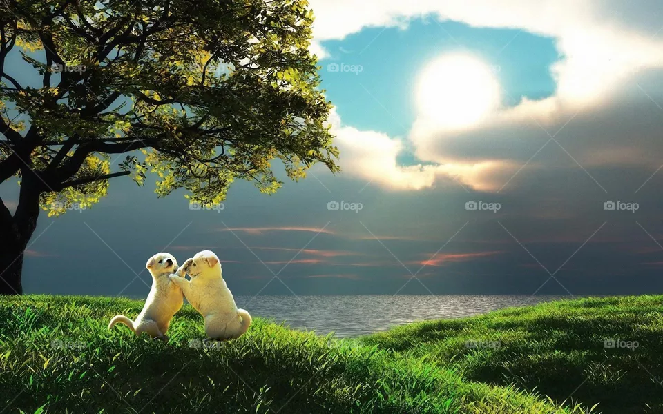 How much do you like this picture?