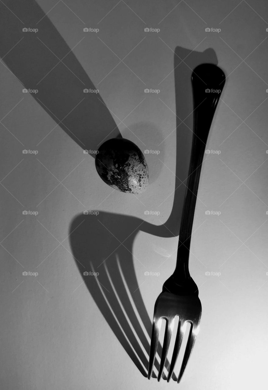 A kitchen fork and little egg. Nice shadows. Not ordinary black and white photography.