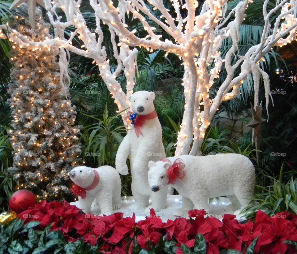 Three Polar Bears!
Three animated polar bears are frolicking under lighted Christmas Trees!