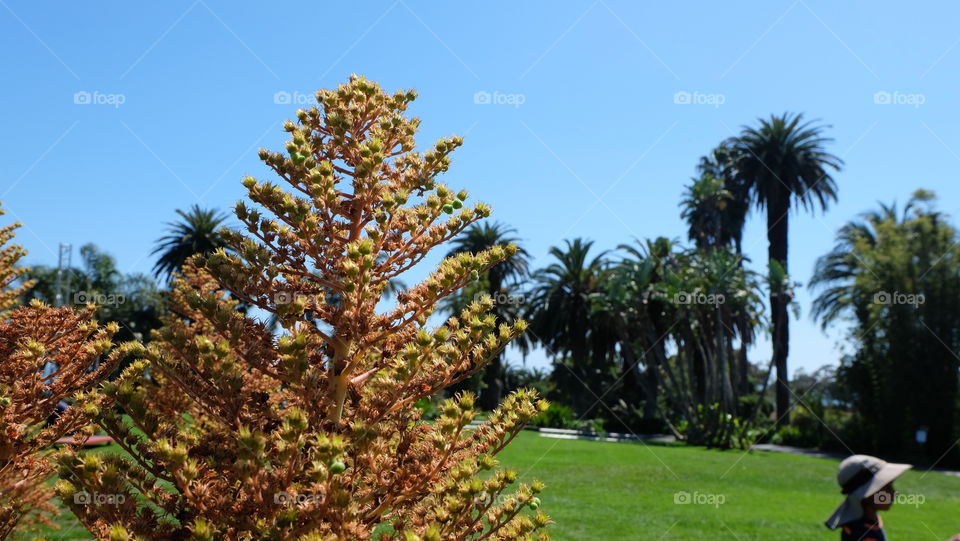 Sunny in the park