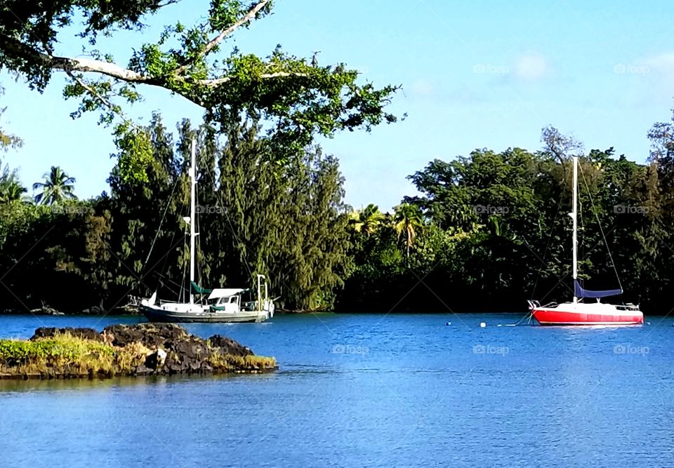 Reeds Bay Hilo Hawai'i