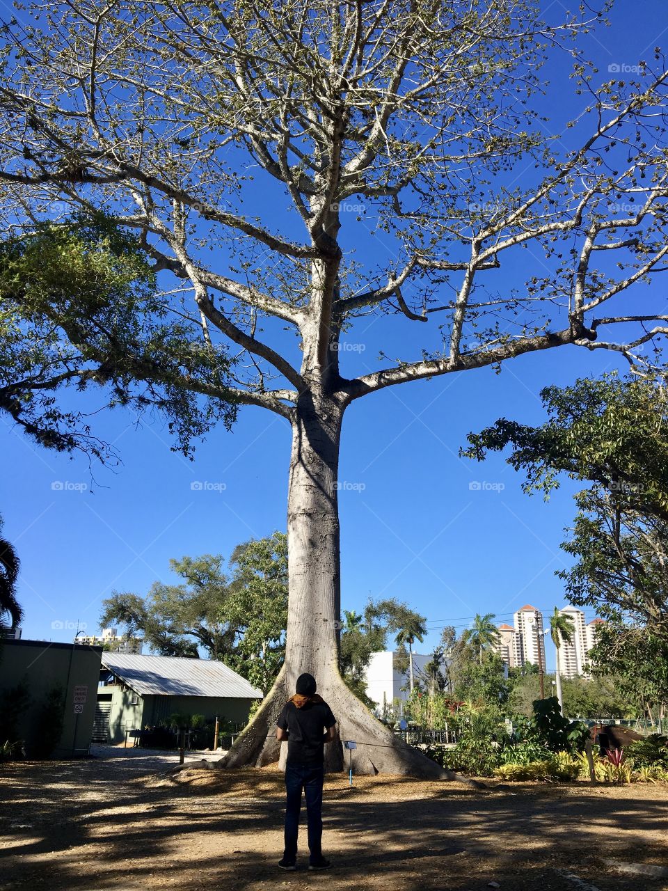 the love of my life with a very tall tree