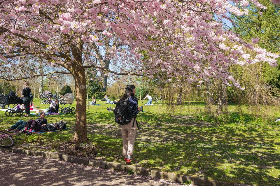 Pink park