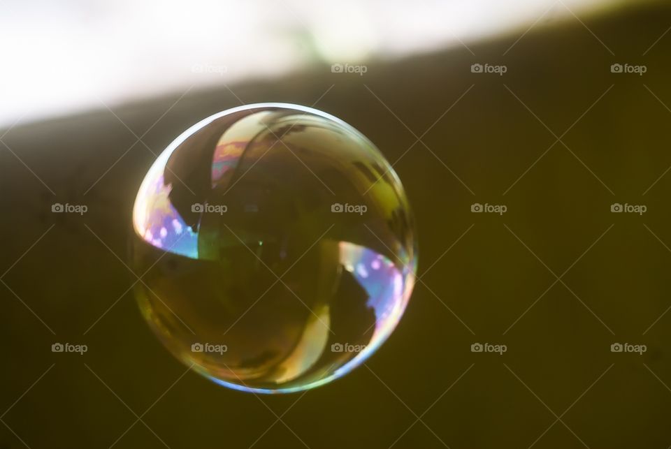 bubbles 