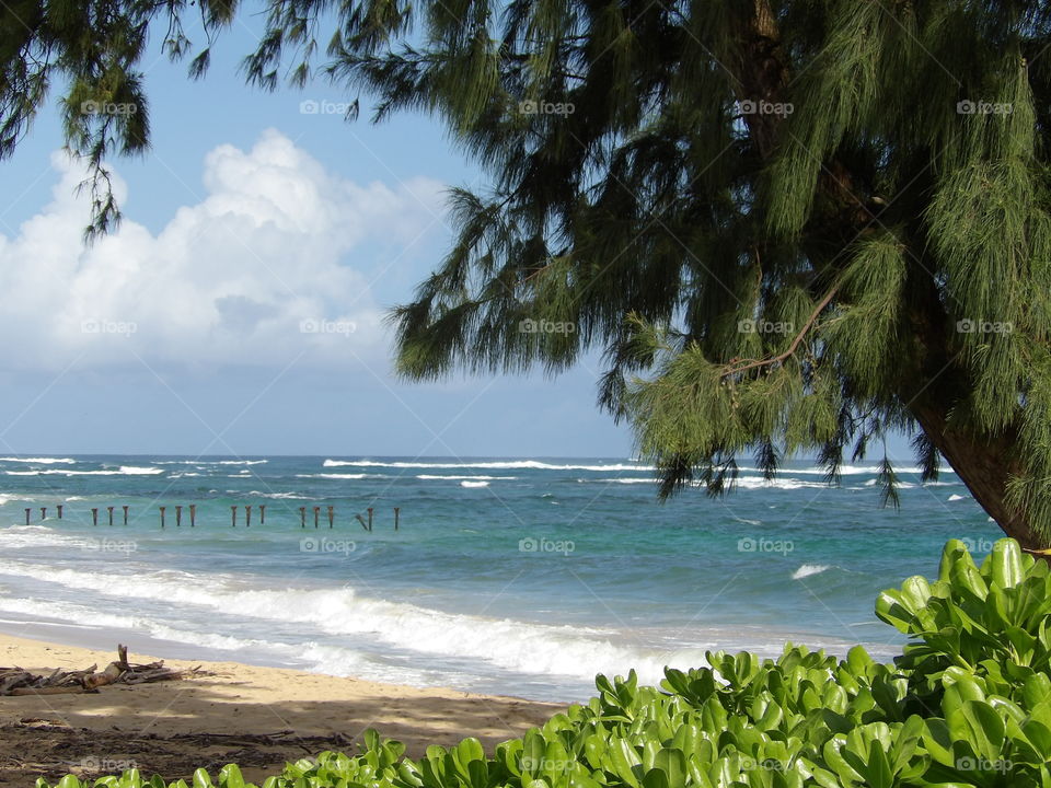 Oahu's North Shore