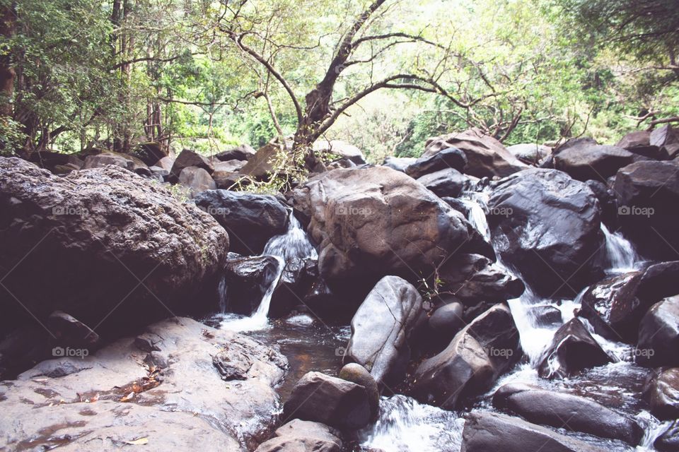 road to waterfall in india