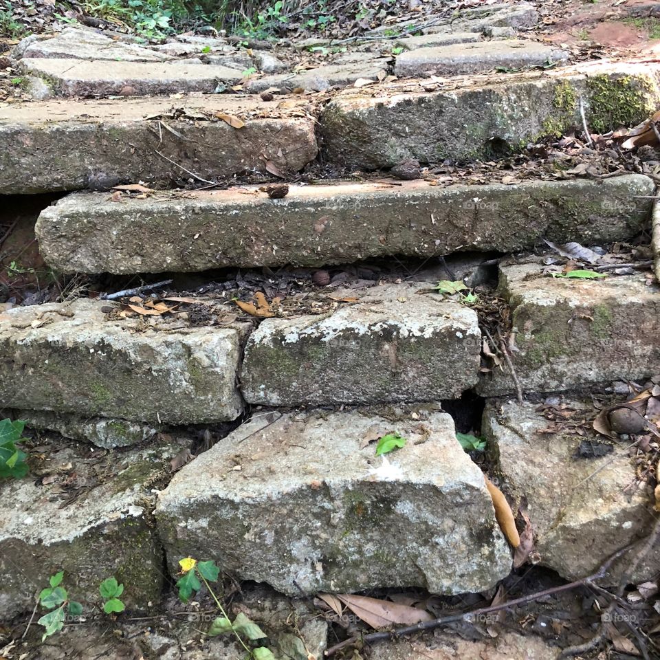 Abandoned steps on the Lafayette Heritage trail.