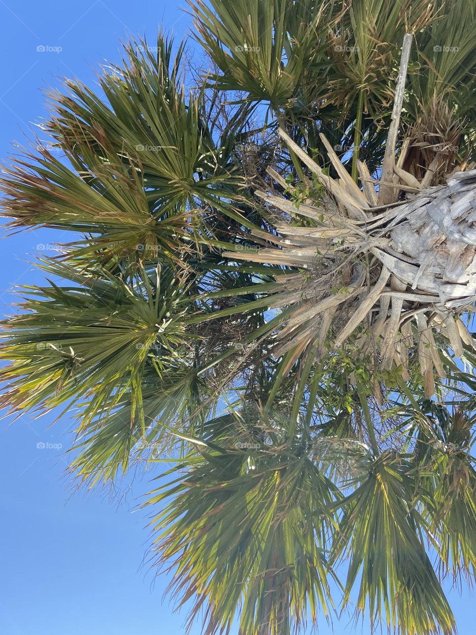 Things are looking up