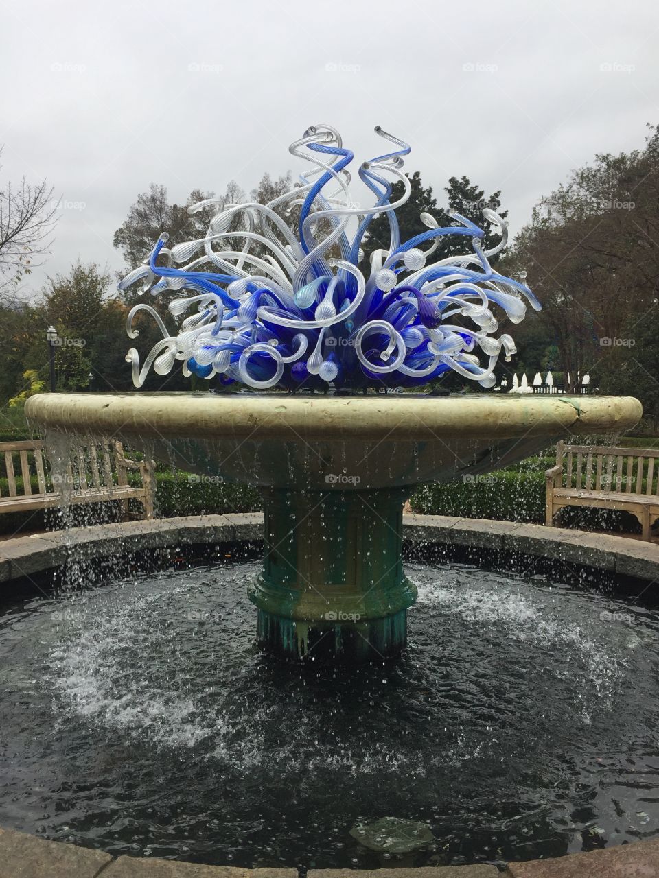 cobalt fountain. 