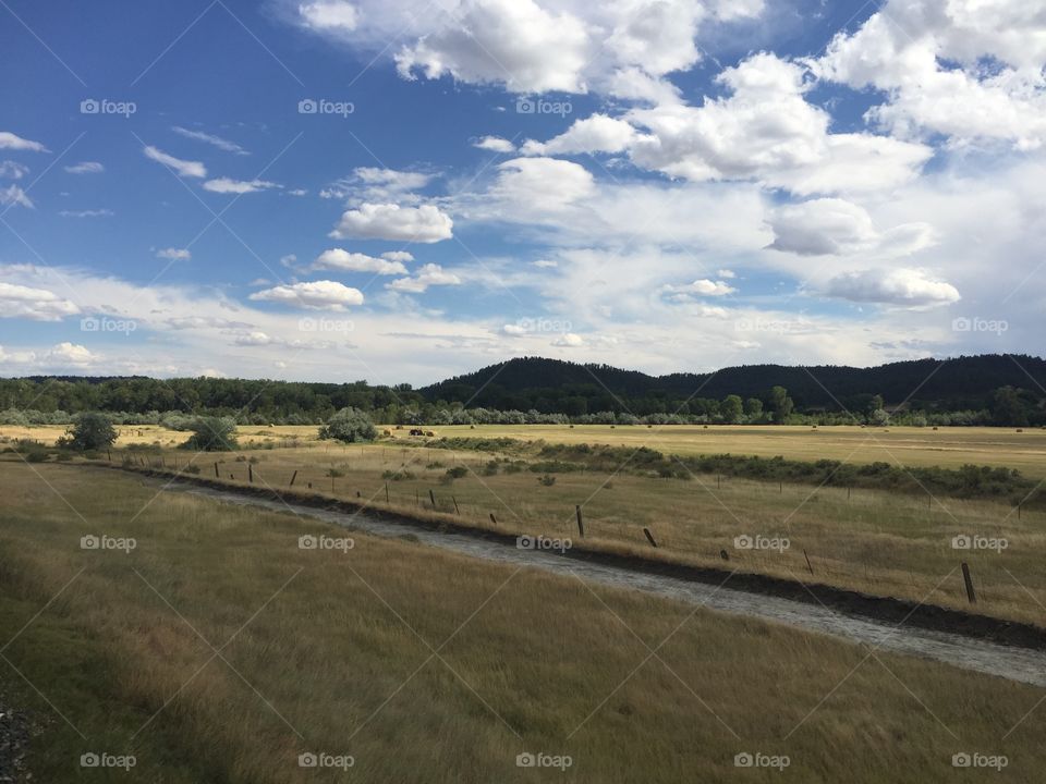 Landscape, No Person, Sky, Outdoors, Cropland