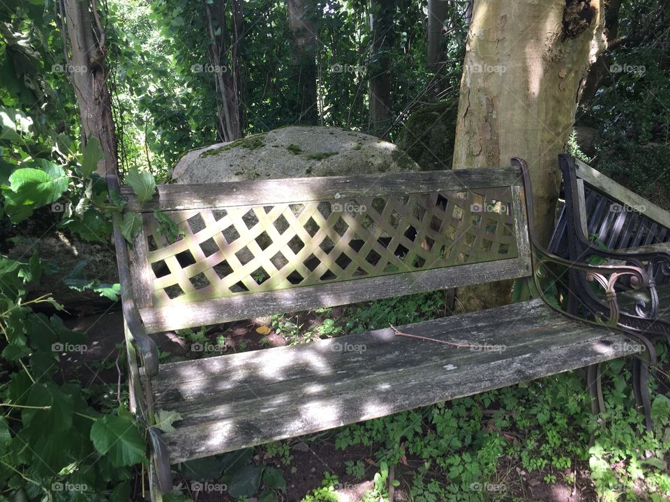 Wooden sofa in the woods