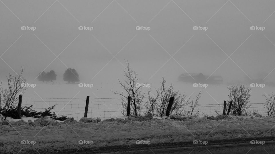 Foggy country field