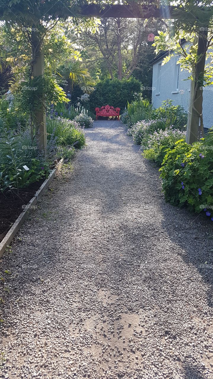 Beautiful gravel garden path lined with flowers. Res garden bench in the background. Climbing rose arch.