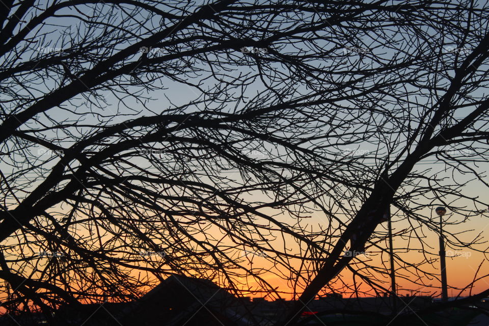 Sunset in the Midwest 