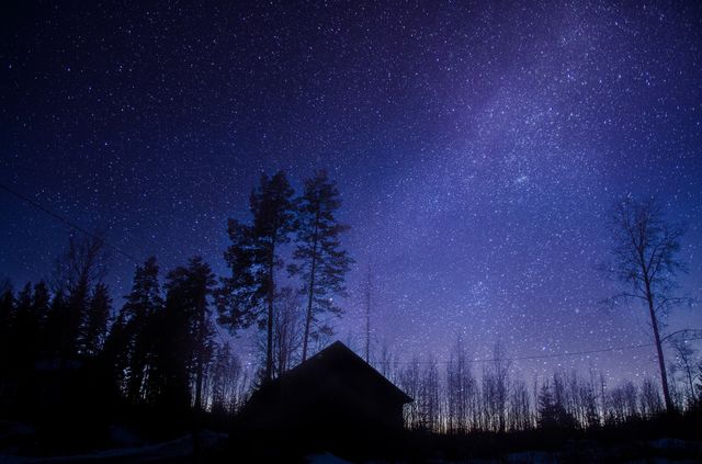 The universe