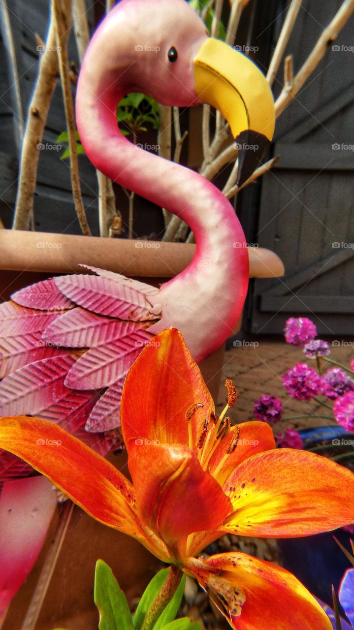 Garden flamingo