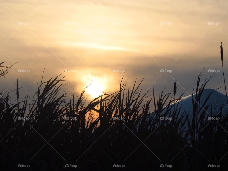 Sunset, Sun, Sky, Dawn, Nature