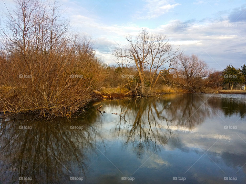 View of bare trees