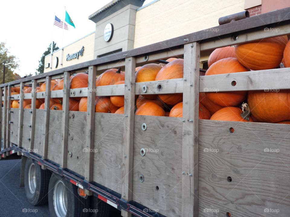 Pumpkin Delivery