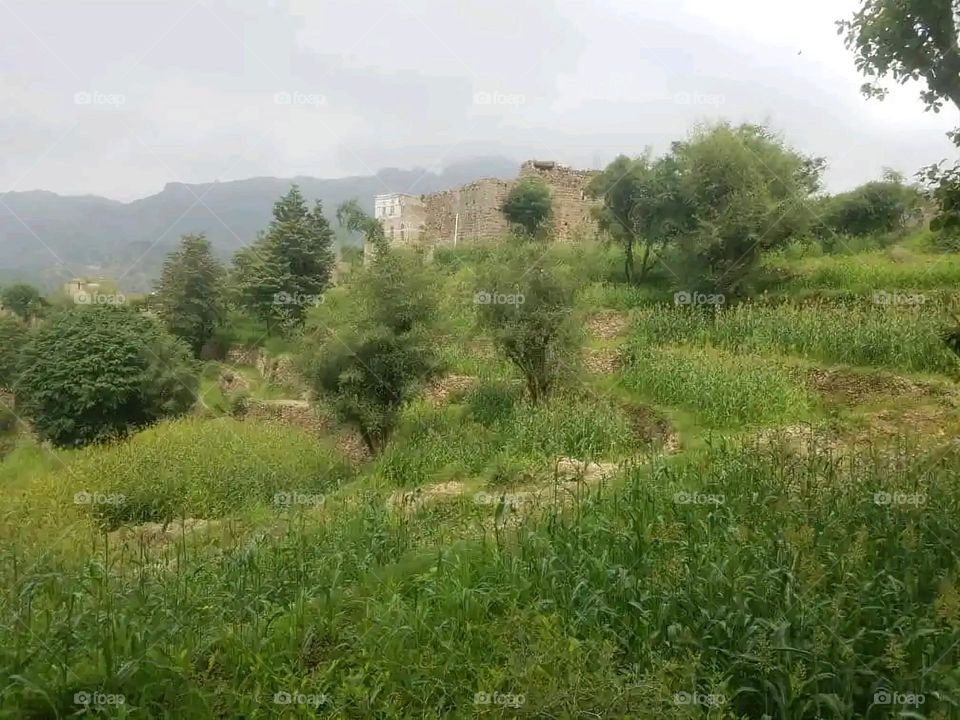 Glory be to God, the magnificent and picturesque view and the natural green trees are a view that is nothing more wonderful than it