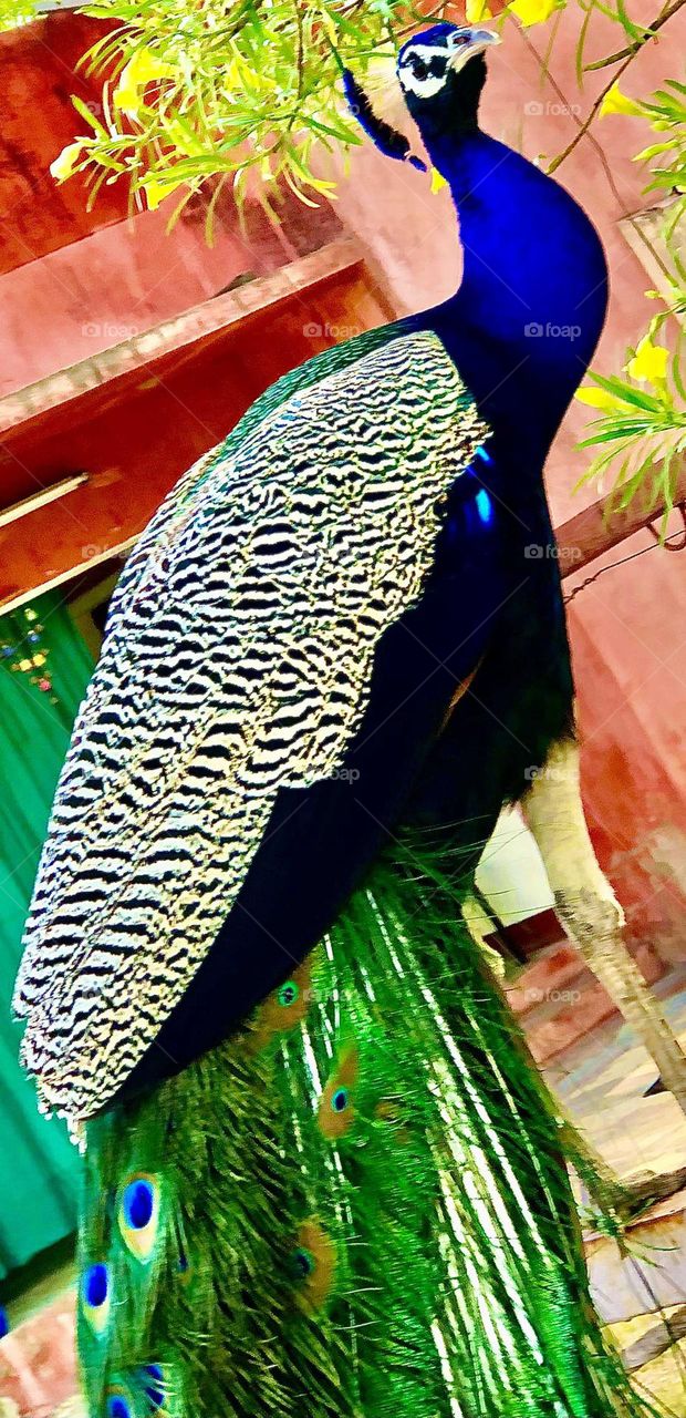 Upload the photo of the month March