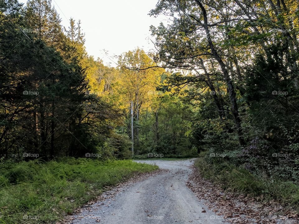 gravel road