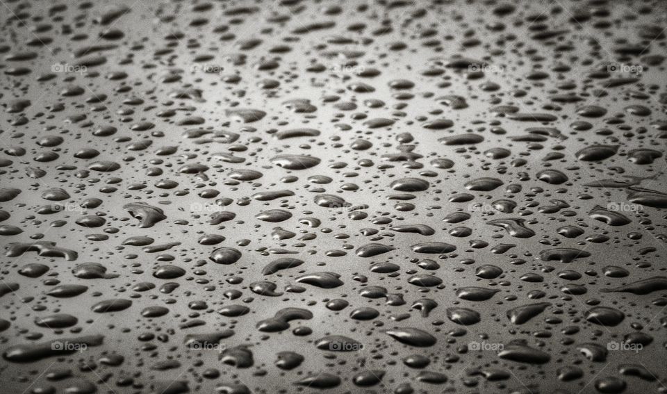water dotted