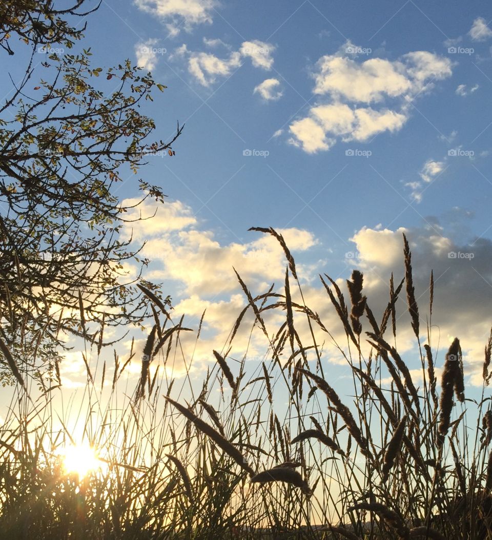 Sunset on lehman farms. Walking down the creek